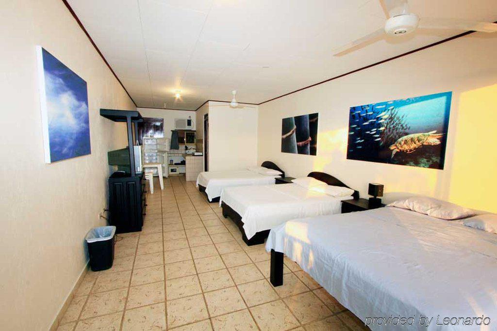 Blue Palm Hotel Jacó Oda fotoğraf